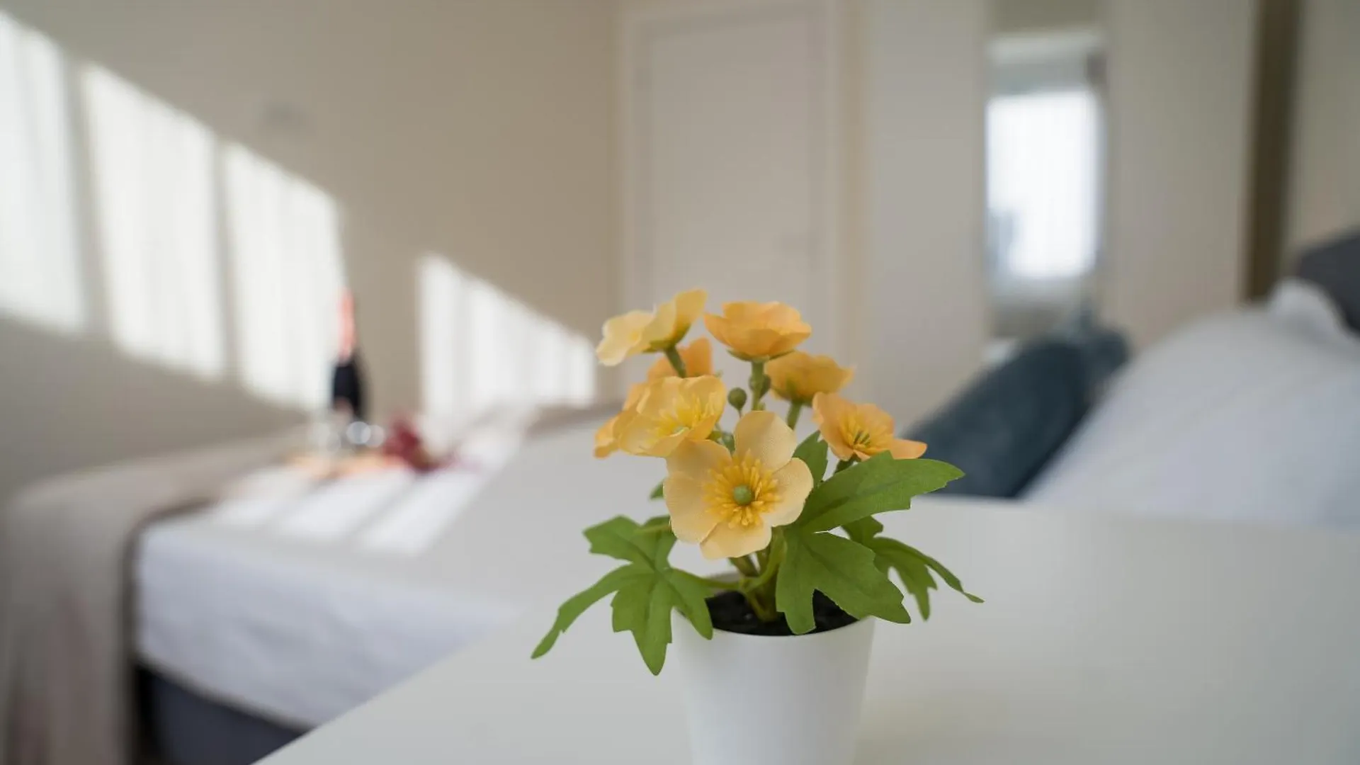 Azaleea Apartments Bucharest